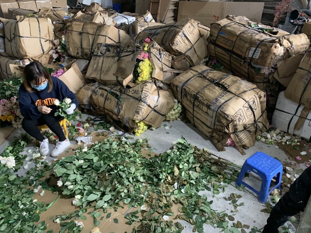 Mượn danh đi giải cứu hoa hồng Đà Lạt, nhập 1 bán gấp 4 lần - 7 Mượn danh đi giải cứu hoa hồng Đà Lạt, nhập 1 bán gấp 4 lần - 7