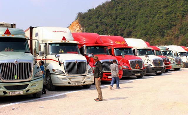 Giá thanh long loạn cào cào, tăng đột biến lên 45.000 đồng/kg - 2 Giá thanh long loạn cào cào, tăng đột biến lên 45.000 đồng/kg - 2