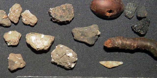 Phát hiện lá cây cổ 6.000 năm tuổi hầu như còn nguyên vẹn - 2 Phát hiện lá cây cổ 6.000 năm tuổi hầu như còn nguyên vẹn - 2