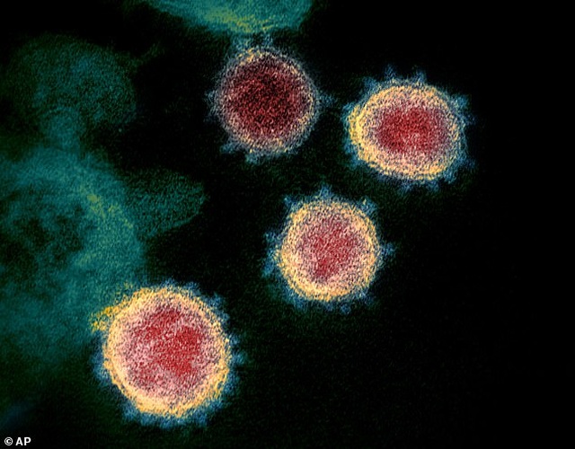 Các nhà khoa học Mỹ đã hoàn thành chế tạo vắc-xin virus corona - 1
