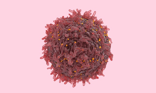 Phương pháp mới cho phép “nhìn thấu” hoạt động của từng tế bào ung thư - 1