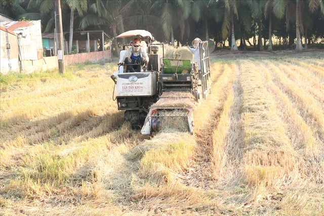 Kiếm tiền triệu mỗi ngày, nhờ cuộn rơm thuê - 1 Kiếm tiền triệu mỗi ngày, nhờ cuộn rơm thuê - 1
