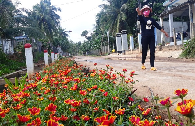 Cả làng “xin” hoa về trồng, đường quê Bình Định đẹp như tranh họa - 1 Cả làng “xin” hoa về trồng, đường quê Bình Định đẹp như tranh họa - 1