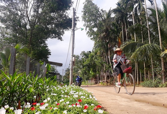 Cả làng “xin” hoa về trồng, đường quê Bình Định đẹp như tranh họa - 4 Cả làng “xin” hoa về trồng, đường quê Bình Định đẹp như tranh họa - 4