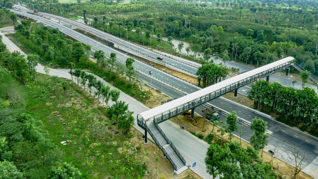 Cận cảnh những cây cầu đẹp lung linh tại thành phố xanh ngay gần Hà Nội - 15