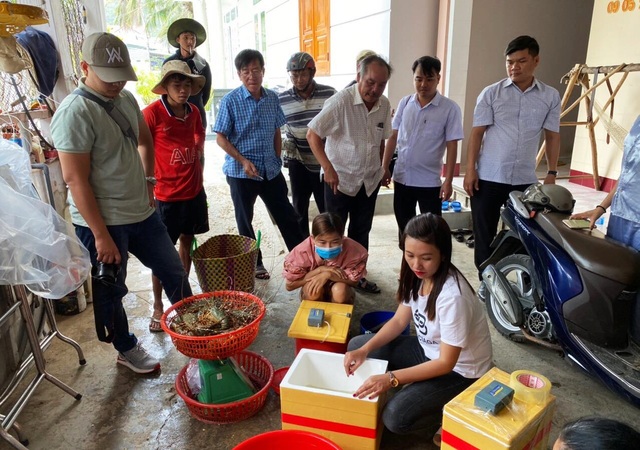 Giải cứu tôm hùm: Sự thật qua giải thích của người đã nuôi tôm 25 năm - 8 Giải cứu tôm hùm: Sự thật qua giải thích của người đã nuôi tôm 25 năm - 8