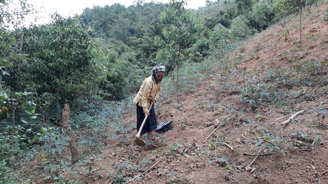 Vì sao người phụ nữ góa chồng, nuôi 5 con viết đơn xin ra khỏi hộ nghèo? - 1