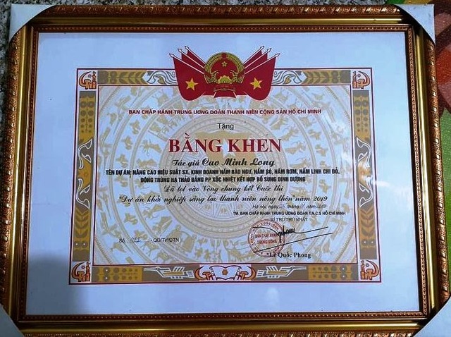 Nghệ An: Mô hình trồng nấm mang lại hiệu quả kinh tế của chàng kỹ sư trẻ - 6 Nghệ An: Mô hình trồng nấm mang lại hiệu quả kinh tế của chàng kỹ sư trẻ - 6