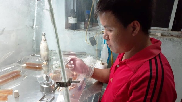 Nghệ An: Mô hình trồng nấm mang lại hiệu quả kinh tế của chàng kỹ sư trẻ - 2