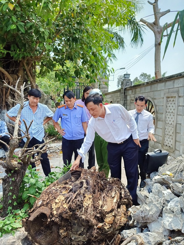 Vụ chặt cây trên đất đã mua suýt ngồi tù: Lại trả hồ sơ điều tra bổ sung! - 3 Vụ chặt cây trên đất đã mua suýt ngồi tù: Lại trả hồ sơ điều tra bổ sung! - 3