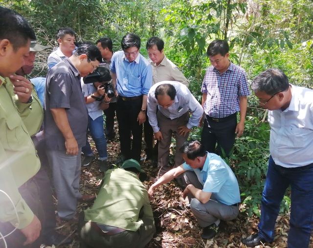 Giữ được hệ sinh thái đặc trưng thì mới còn là U Minh Hạ - 4 Giữ được hệ sinh thái đặc trưng thì mới còn là U Minh Hạ - 4