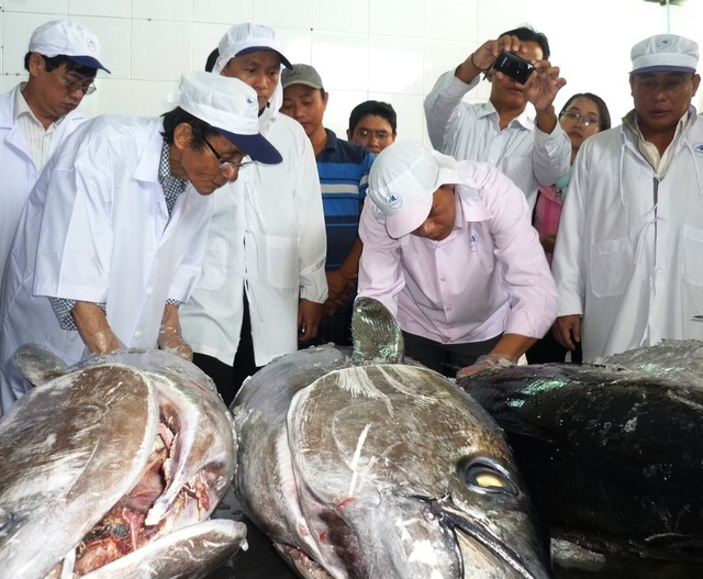 Bộ trưởng Nông nghiệp: Phải biết “cay mũi” khi thủy sản nhận thẻ vàng - 3 Bộ trưởng Nông nghiệp: Phải biết “cay mũi” khi thủy sản nhận thẻ vàng - 3