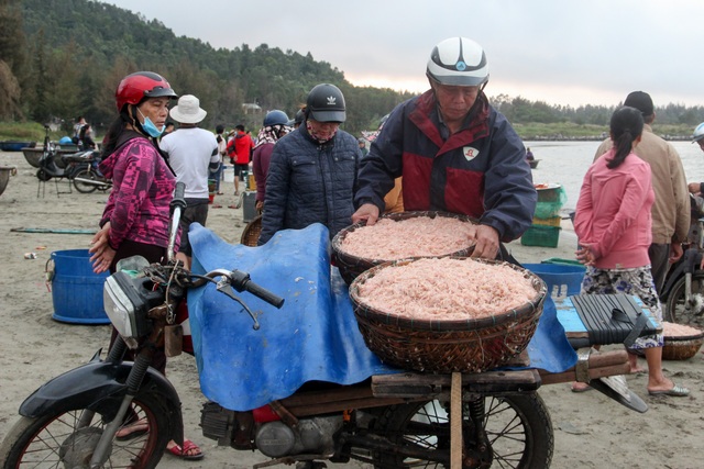Ngư dân Đà Nẵng trúng đậm mùa ruốc biển - 6 Ngư dân Đà Nẵng trúng đậm mùa ruốc biển - 6