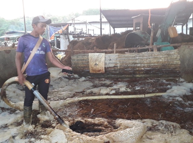 Cá chết trắng trên dòng nước đen ngòm thải ra từ nhà máy giấy - 8 Cá chết trắng trên dòng nước đen ngòm thải ra từ nhà máy giấy - 8