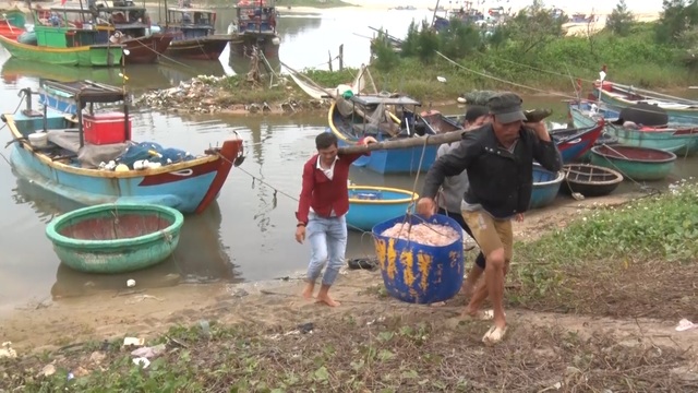 Trúng mẻ ruốc biển, ngư dân kiếm cả chục triệu đồng mỗi ngày - 6 Trúng mẻ ruốc biển, ngư dân kiếm cả chục triệu đồng mỗi ngày - 6