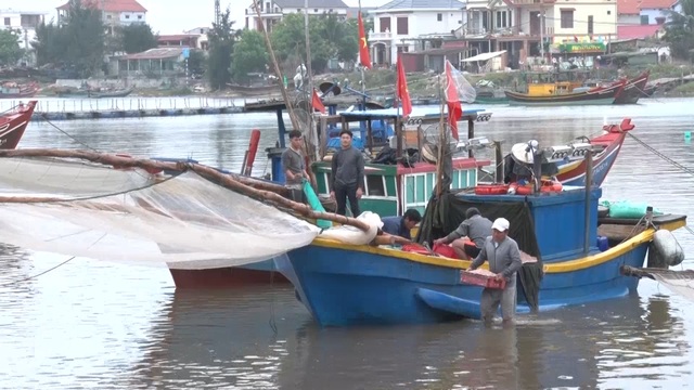 Trúng mẻ ruốc biển, ngư dân kiếm cả chục triệu đồng mỗi ngày - 2 Trúng mẻ ruốc biển, ngư dân kiếm cả chục triệu đồng mỗi ngày - 2