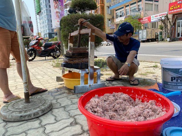 Trúng mẻ ruốc biển, ngư dân kiếm cả chục triệu đồng mỗi ngày - 10 Trúng mẻ ruốc biển, ngư dân kiếm cả chục triệu đồng mỗi ngày - 10