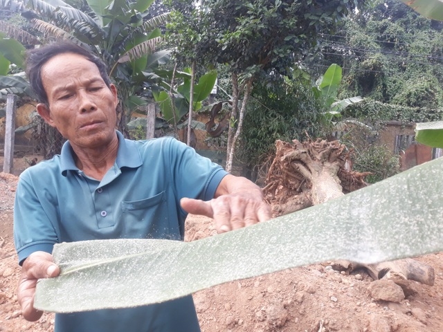 Bụi nhà máy mì phủ trắng cả khu dân cư - 1 Bụi nhà máy mì phủ trắng cả khu dân cư - 1
