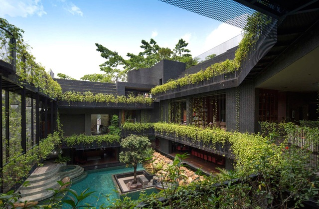 Sửng sốt với “khu vườn nhiệt đới” ngay trên nóc nhà biệt thự ở Singapore - 4 Sửng sốt với “khu vườn nhiệt đới” ngay trên nóc nhà biệt thự ở Singapore - 4
