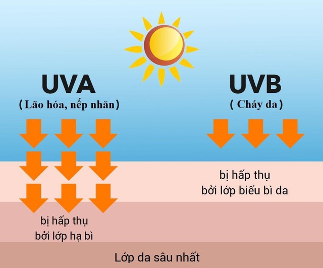 Có nên mua dụng cụ kháng khuẩn chống Covid-19 bằng tia UV tại nhà? - Ảnh minh hoạ 3