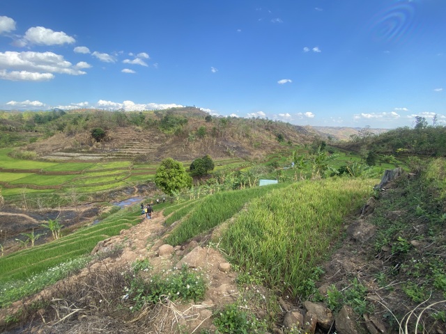 Gia Lai: “Mê mẩn” vẻ đẹp của ruộng bậc thang  - 9