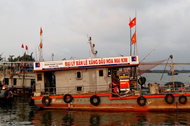 Ngư dân Quảng Nam được mùa cá cơm - 11 Ngư dân Quảng Nam được mùa cá cơm - 11