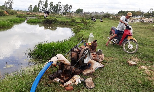 Bình Định lo thiếu nước cho sinh hoạt và cây trồng - 2 Bình Định lo thiếu nước cho sinh hoạt và cây trồng - 2