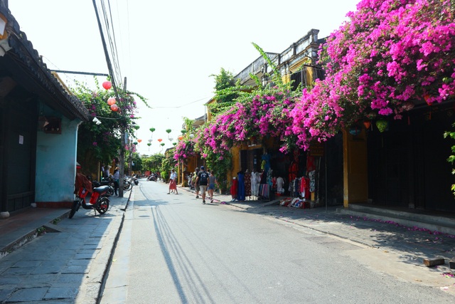 Hoa sưa nở vàng rực phố cổ giữa mùa dịch Covid-19 - 14 Hoa sưa nở vàng rực phố cổ giữa mùa dịch Covid-19 - 14