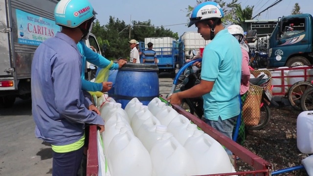 Hạn mặn khốc liệt, tìm cách cứu vườn sầu riêng của người dân - 4 Hạn mặn khốc liệt, tìm cách cứu vườn sầu riêng của người dân - 4