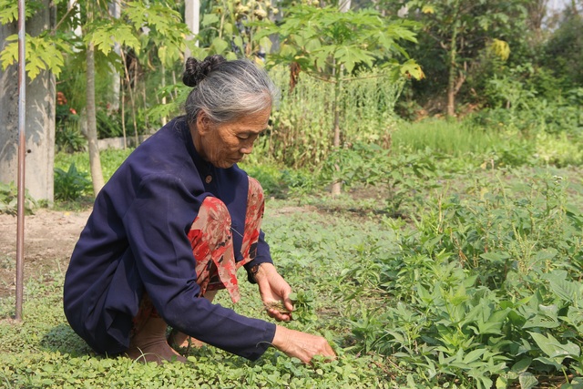 Đau đớn cảnh bé gái thiểu năng bị kẻ xấu hại đời đến mang thai - 6