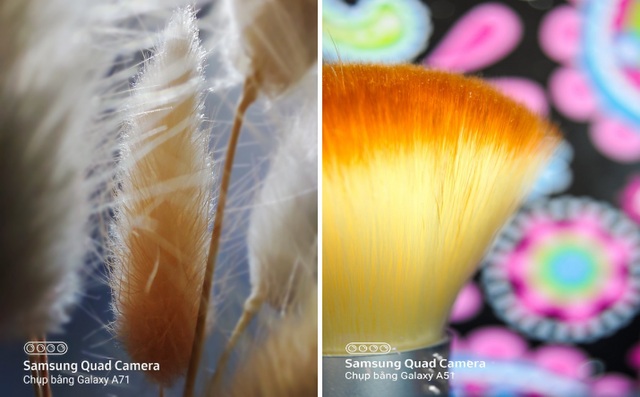 3 chủ đề chụp ảnh macro hút giới trẻ thi thố - 4 3 chủ đề chụp ảnh macro hút giới trẻ thi thố - 4