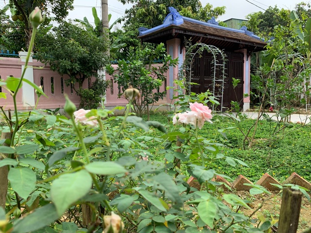 Bất ngờ với căn nhà cổ trăm tuổi đẹp hiếm có của cặp vợ chồng người Huế - 9 Bất ngờ với căn nhà cổ trăm tuổi đẹp hiếm có của cặp vợ chồng người Huế - 9