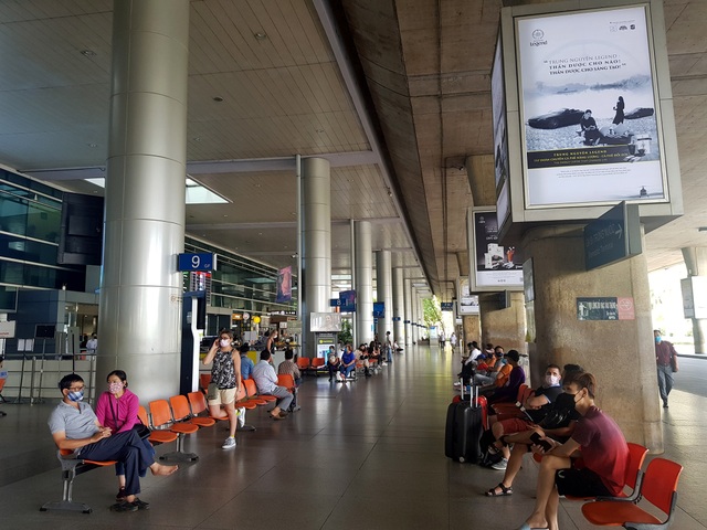 Việt kiều về nước tránh dịch- Copy.jpg