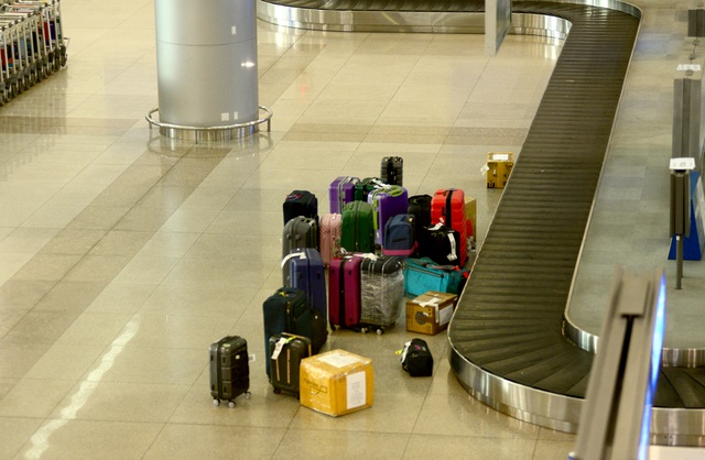 Việt kiều về nước tránh dịch.jpg