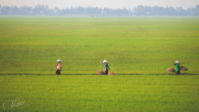 Nhìn lại cảnh sắc miền Tây tuyệt đẹp trong MV Về quê của Phương Thanh - 13