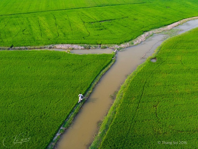 Nhìn lại cảnh sắc miền Tây tuyệt đẹp trong MV Về quê của Phương Thanh - 9