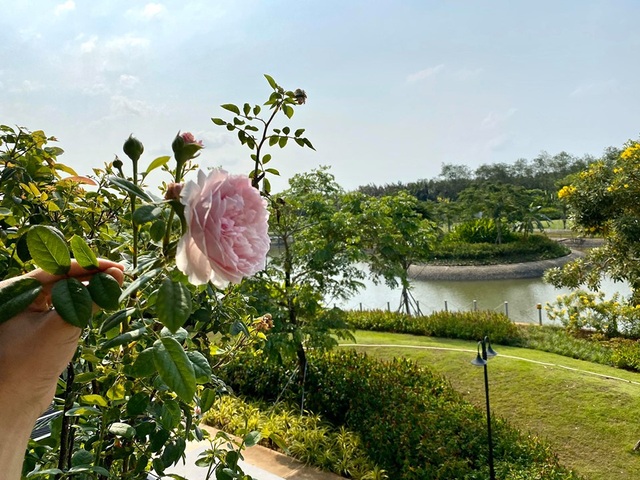 Nghệ sĩ xoay sở ra sao khi phải ngừng hoạt động vì dịch Covid-19 - 10