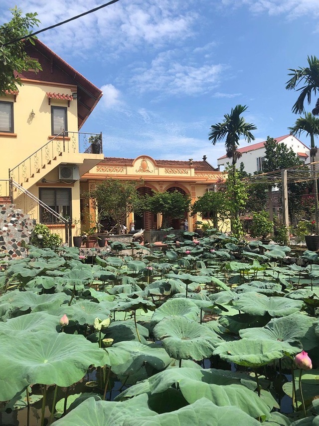 Mua đất ngoại ô làm nhà vườn, không ngờ 10 năm sau thành tài sản đắt giá - 1 Mua đất ngoại ô làm nhà vườn, không ngờ 10 năm sau thành tài sản đắt giá - 1