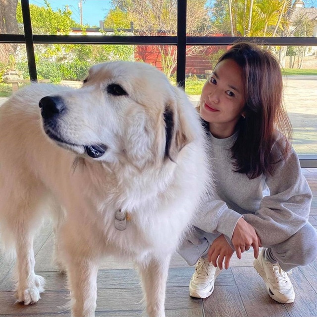 Song Hye Kyo kết thúc đợt cách ly sau chuyến đi Ý - 1 Song Hye Kyo kết thúc đợt cách ly sau chuyến đi Ý - 1