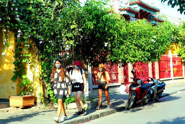 Hoa giấy rực rỡ phố cổ Hội An giữa mùa dịch Covid-19 - 13 Hoa giấy rực rỡ phố cổ Hội An giữa mùa dịch Covid-19 - 13