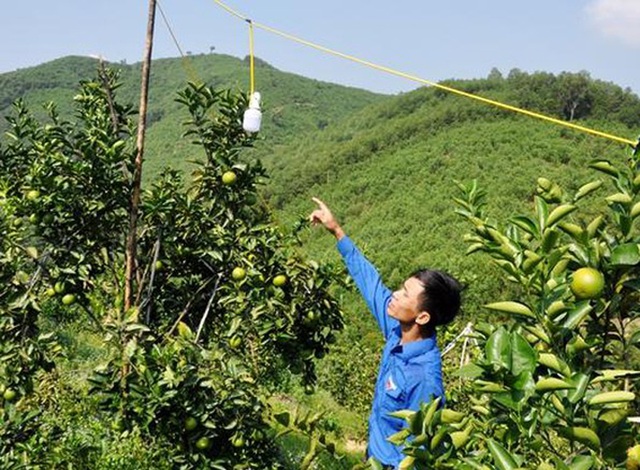 Xuất sắc làm theo lời Bác, bí thư Đoàn xã được trao giải thưởng Lý Tự Trọng - 1 Xuất sắc làm theo lời Bác, bí thư Đoàn xã được trao giải thưởng Lý Tự Trọng - 1