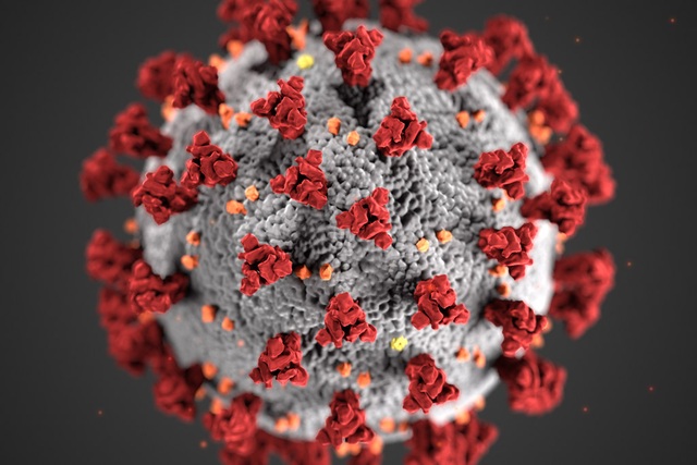 Cấu trúc của virus SARS-CoV-2 cho biết điều gì về điểm mạnh yếu của nó? - 1