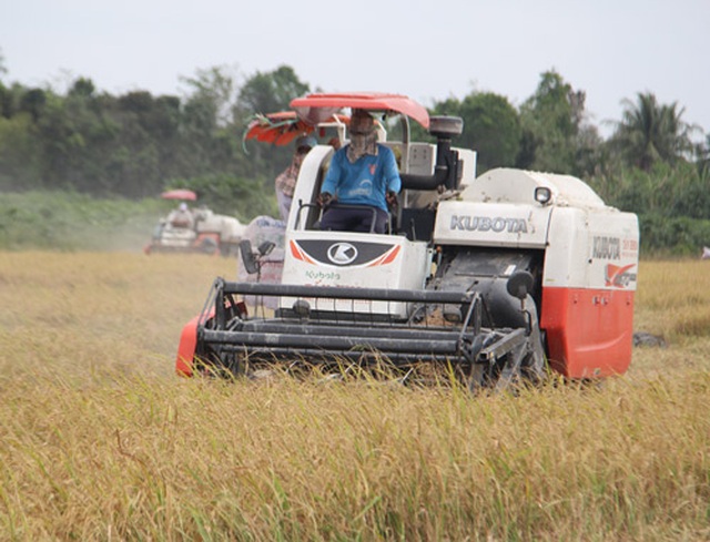 GS. Võ Tòng Xuân: Chỉ cần giữ 1,5 triệu tấn gạo là bảo đảm an ninh lương thực - 2