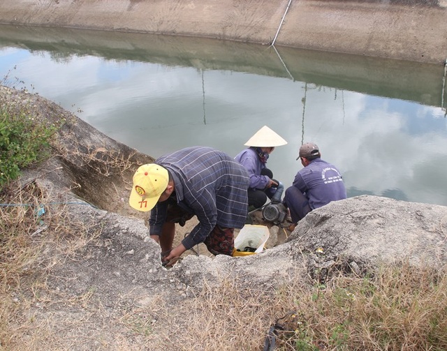 Nông dân cầu cứu thủy điện xả nước cứu hạn - 1 Nông dân cầu cứu thủy điện xả nước cứu hạn - 1