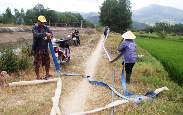 Nông dân cầu cứu thủy điện xả nước cứu hạn - 2 Nông dân cầu cứu thủy điện xả nước cứu hạn - 2