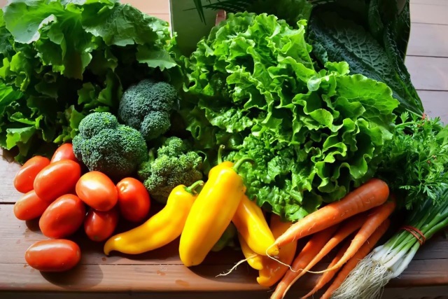 Tầm quan trọng của vitamin A với sự phát triển của cơ thể - 2 Tầm quan trọng của vitamin A với sự phát triển của cơ thể - 2