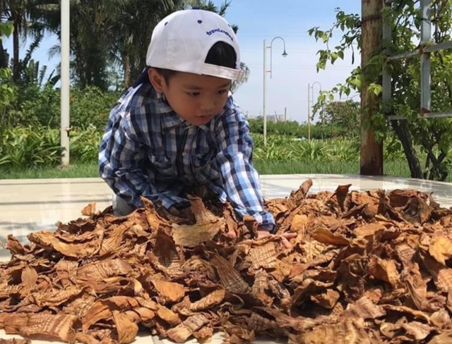 Tránh dịch, giám đốc, bà chủ... đi bán dưa mắm cà - 2 Tránh dịch, giám đốc, bà chủ... đi bán dưa mắm cà - 2