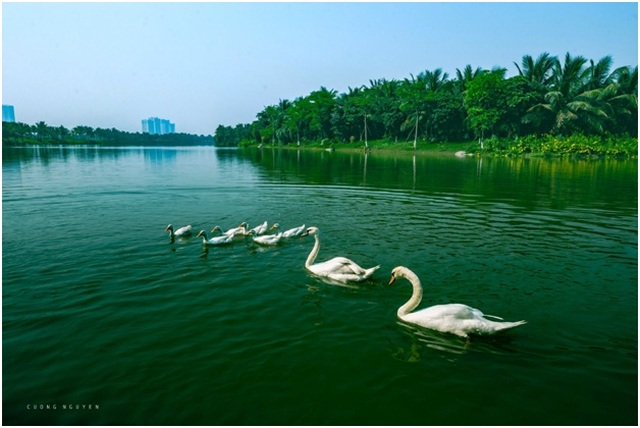 Vẻ đẹp “đến thổn thức” của Ecopark trong phút giao mùa - 9 Vẻ đẹp “đến thổn thức” của Ecopark trong phút giao mùa - 9