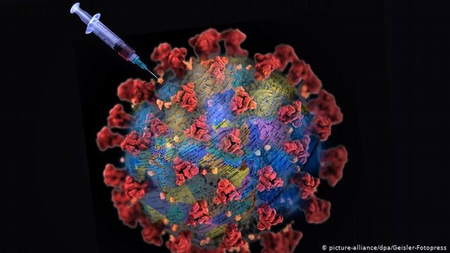 Hệ miễn dịch chống lại virus corona như thế nào? - 1 Hệ miễn dịch chống lại virus corona như thế nào? - 1