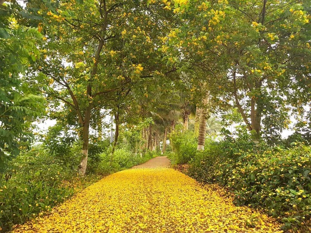 Vẻ đẹp “đến thổn thức” của Ecopark trong phút giao mùa - 1 Vẻ đẹp “đến thổn thức” của Ecopark trong phút giao mùa - 1